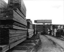 Worker stacking trusses at Idaco Lumber yard, Healdsburg, California, 1963