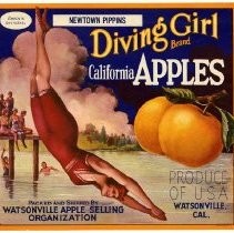 Diving Girl Brand California Apples
