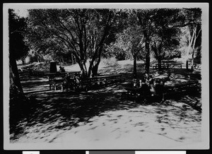 People sitting at picnic tables in Griffith Park, 1920