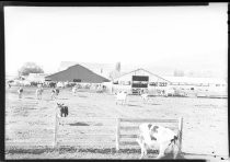 Dairy farm, c. 1940