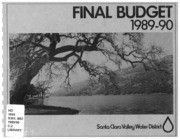 Final Budget, 1989-90
