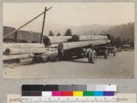 Redwood piles for highway commission. South Fork Station near Dyerville, California. September 1929, E.F