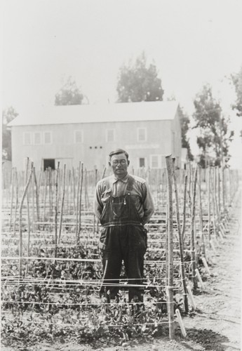 Mr. Sakanashi, a Japanese foreman at the Burpee Seed Company, Lompoc : 1933. He lived on the Burpee property in a house provided by Burpee