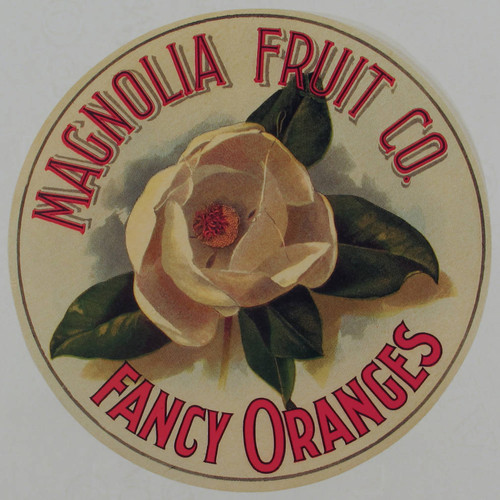 Magnolia Fruit Co. Fancy Oranges
