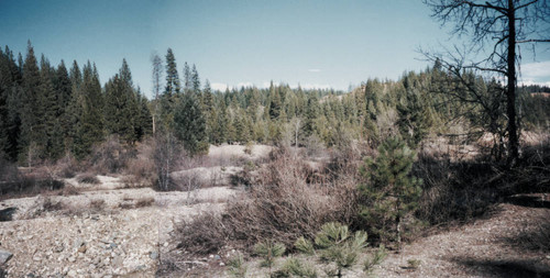 Site of Gopher Hill Mine