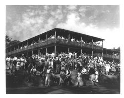 Huge crowd at the Old Adobe Fiesta, Petaluma, California, 1966