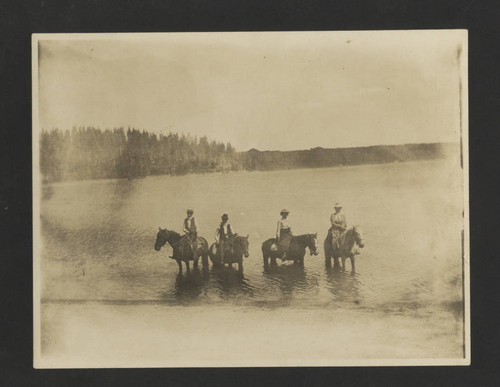 Four riders with horses standing in a lake