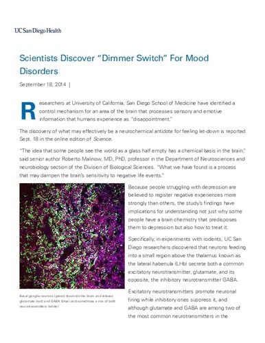 Scientists Discover "Dimmer Switch" For Mood Disorders