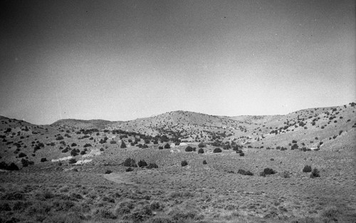 Abandoned Site of Ramsay, Lyon County, Nevada, SV-584b View 2