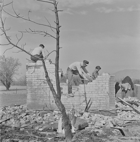 Men salvaging old homestead rock walls, #2, Berryessa Valley