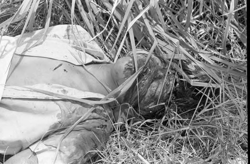 Body of a dead man in a vacant lot, San Salvador, 1982
