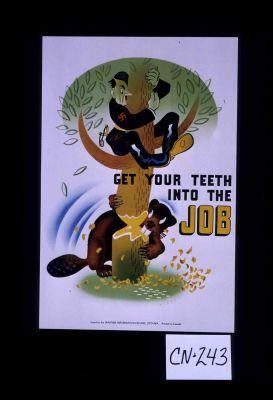 Get your teeth into the job