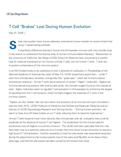 T Cell "Brakes" Lost During Human Evolution