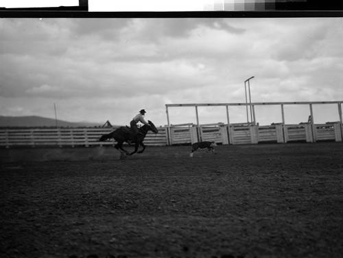 Roping pictures