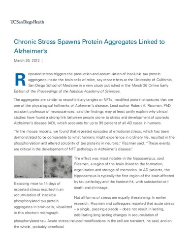 Chronic Stress Spawns Protein Aggregates Linked to Alzheimer's
