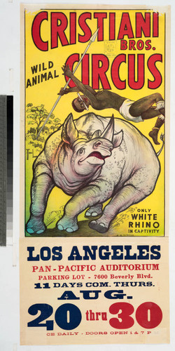 Cristiani Bros. Wild Animal Circus : only white rhino in captivity