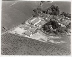 Aerial view of Ursuline High School, Santa Rosa, California, 1958