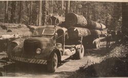 Truck loaded with cut redwoods, Mendocino County