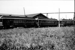 Petaluma and Santa Rosa Railroad cars