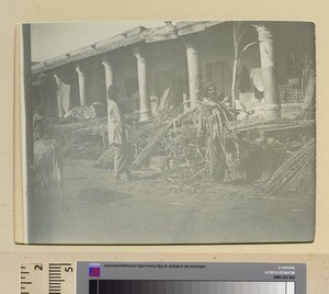 Market selling sugar cane, Punjab, Pakistan, ca.1890