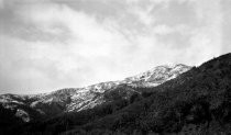 Throckmorton Ridge Mt. Tamalpais from Tamalpais railroad grade after January 1922 snowfall