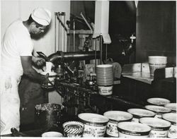 Tom Mitchell filling large cartons of Clover cottage cheese by hand at the Petaluma Cooperative Creamery, about 1955