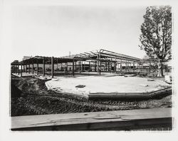 Steel frame structure of new library building, Santa Rosa, California, 1966