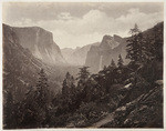[Valley of the Yosemite]