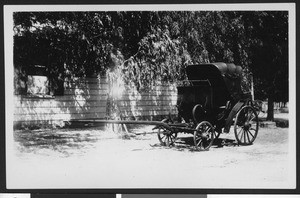 Unhitched carriage next to a tree, Petaluma, ca.1900