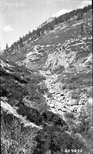 High Sierra Trail Investigation, proposed location of Kern River crossing, elevation 8,700 feet. Montone Chaparral Plant Community