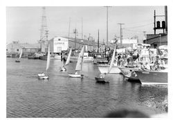 Old Adobe Fiesta sailboat racing, Petaluma, California, 1965-1969