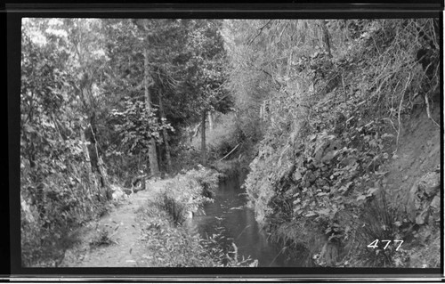 Stream or canal through a forest