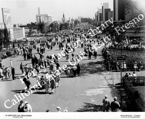 Fairgoers at the exposition