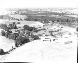 Looking west over Cardinal Newman High School, Santa Rosa, California, July 1, 1966
