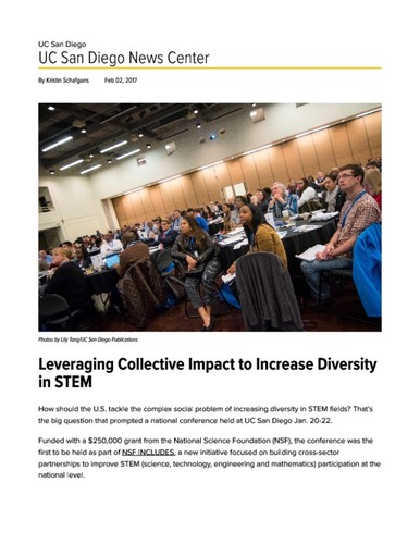 Leveraging Collective Impact to Increase Diversity in STEM