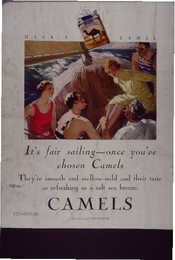 It's fair sailing-once you've chosen Camels