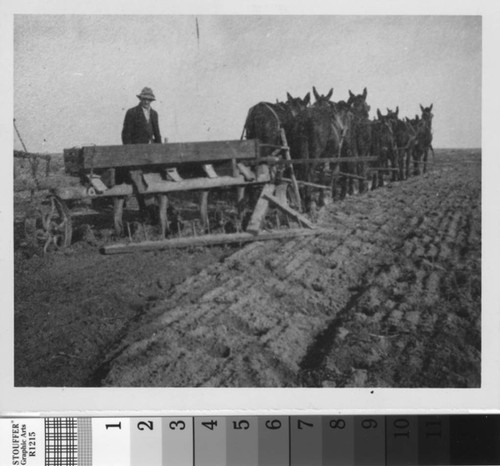 John Hinkson seeding a field with the help of a team of mules near Turlock, California, circa 1910