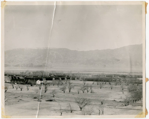 Manzanar camp barracks