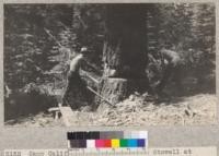 Camp Califorest. Nordstrom and Stowell at work felling snags on the camp site. Nordstrom to left; Stowell to right. E.F. July 1931