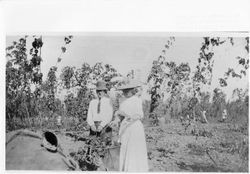William S. Borba and his wife among the hops