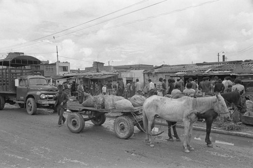 Horse-drawn carriages at a market, Tunjuelito, Colombia, 1977