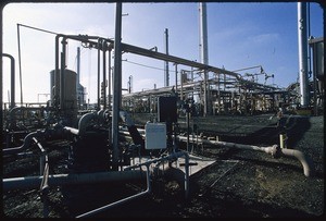 Plains Exploration and Production Company, Inglewood Oil Field, Los Angeles, 2004