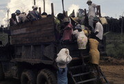 Workers Loading onto Truck, Jonestown, Guyana