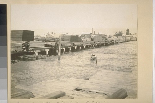 Municipal Wharf, Berkeley, California