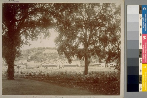 General View of Greystone Winery, California Wine Association