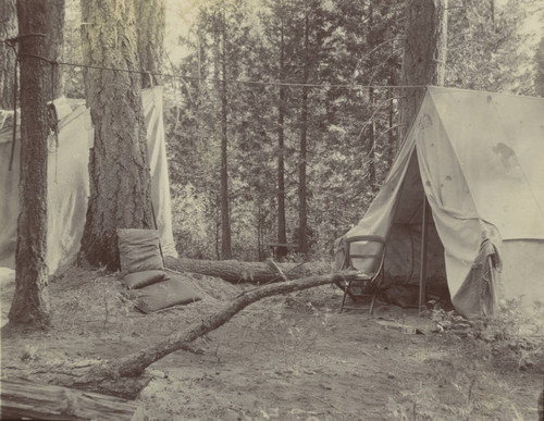 Butte Meadows Camping