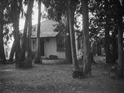 Cottage among the trees at Pueblo La Brea