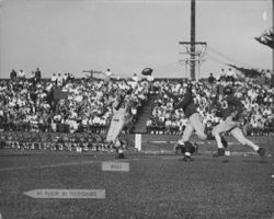 Leghorns beat Eagle Rock Athletic Club 31-13, Petaluma, California, 1950
