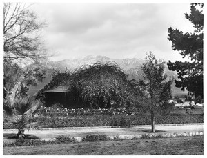 Exterior view of the rustic cottage residence of author Jeanne C. Carr and husband Dr. Ezra C. Carr, Ph.D., ca.1895