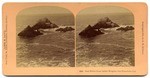 Seal Rocks from Sutter Heights, San Francisco, Cal. # 9920